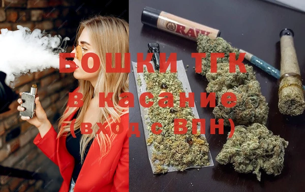 шишки Аркадак