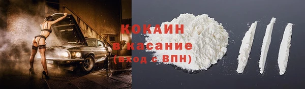 шишки Аркадак