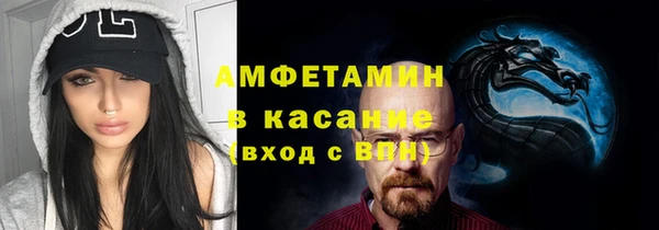 шишки Аркадак