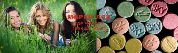 прущая мука Арсеньев