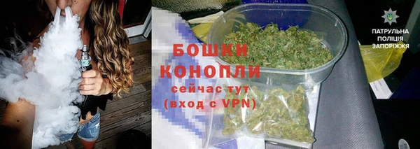 шишки Аркадак